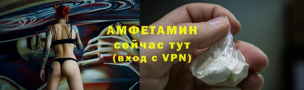 спиды Богданович