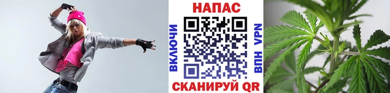 Канабис сатива наркотики Павловская